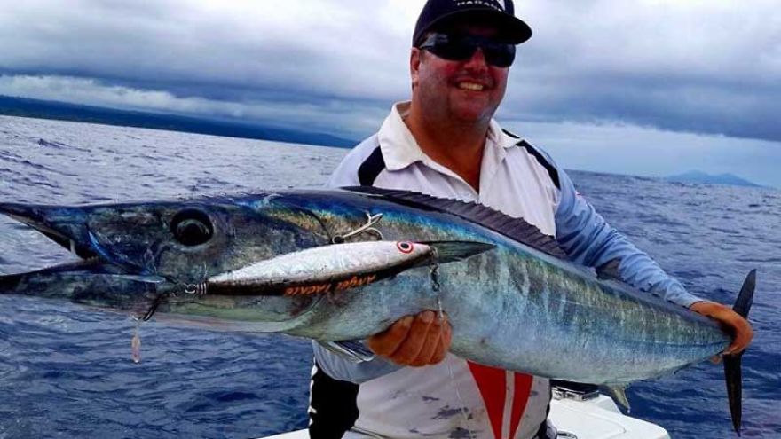 Everything You Need To Know About Wahoo Everything You Need To Know About Wahoo