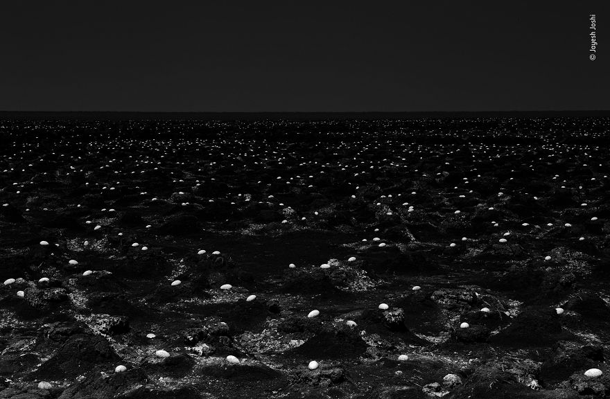 Ghost Colony By Jayesh Joshi, India, Highly Commended 2018 Black And White