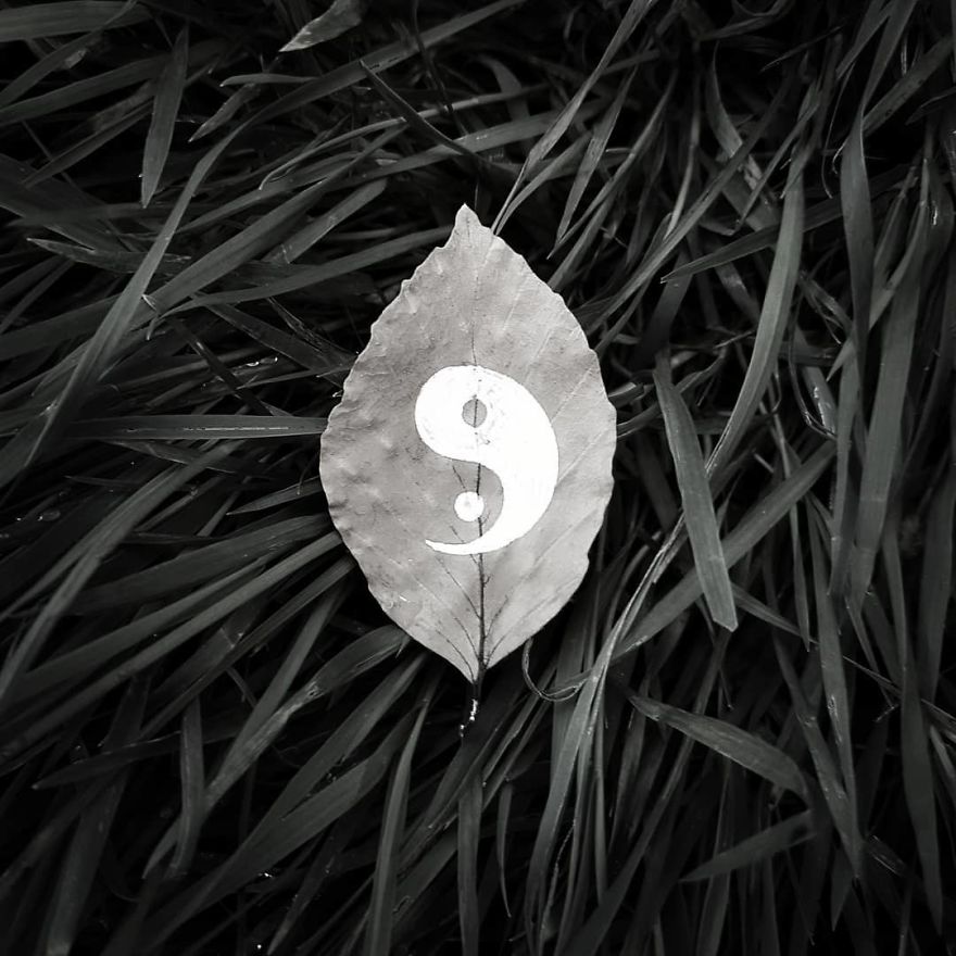 Artist Paints Mandalas Directly Onto Autumn Leaves, Results Are Amazing!
