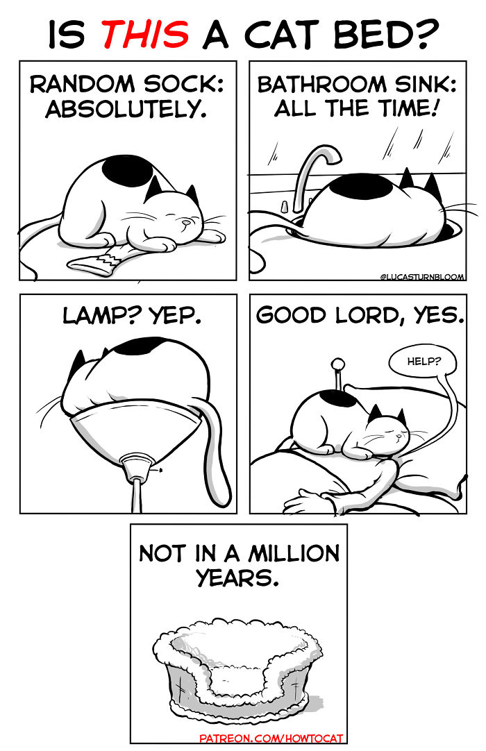 11 Comics For Cat Owners