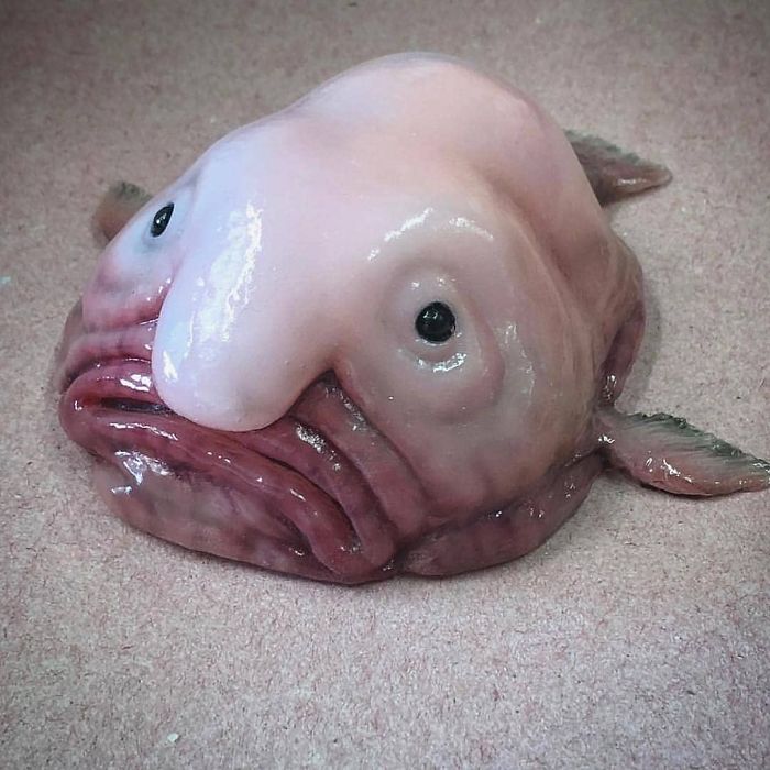 Russian Fisherman Posts Terrifying Creatures Of The Deep Sea, And People  Want Him To Stop (New Pics) | Bored Panda