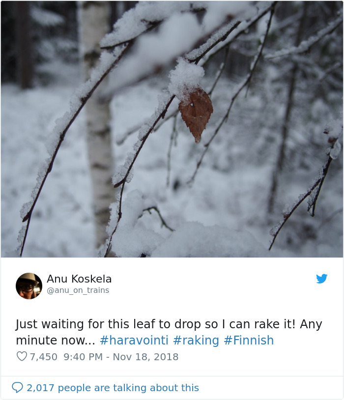 Finns-Troll-Trump-Raking-Leaves-Wildfire-Prevention