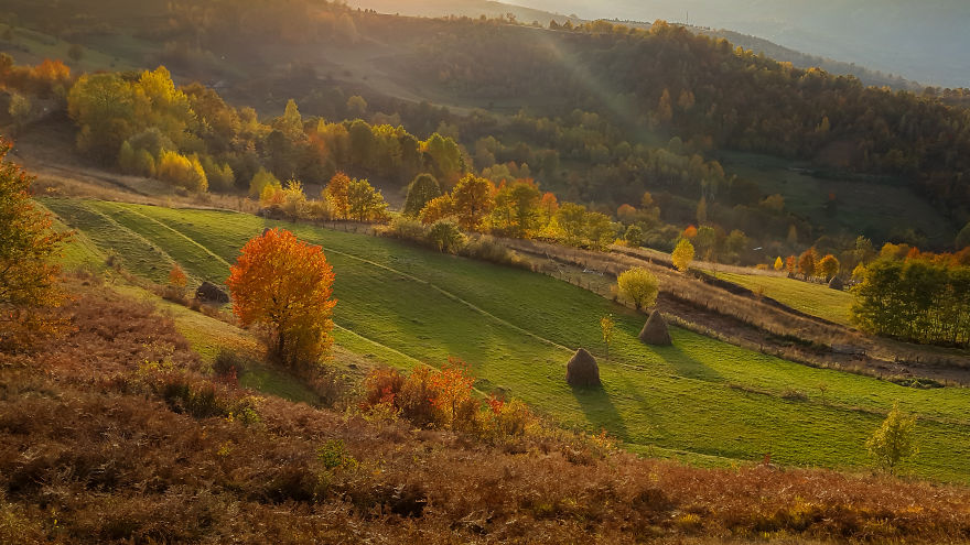 Travelling Through Transylvania In The Fall
