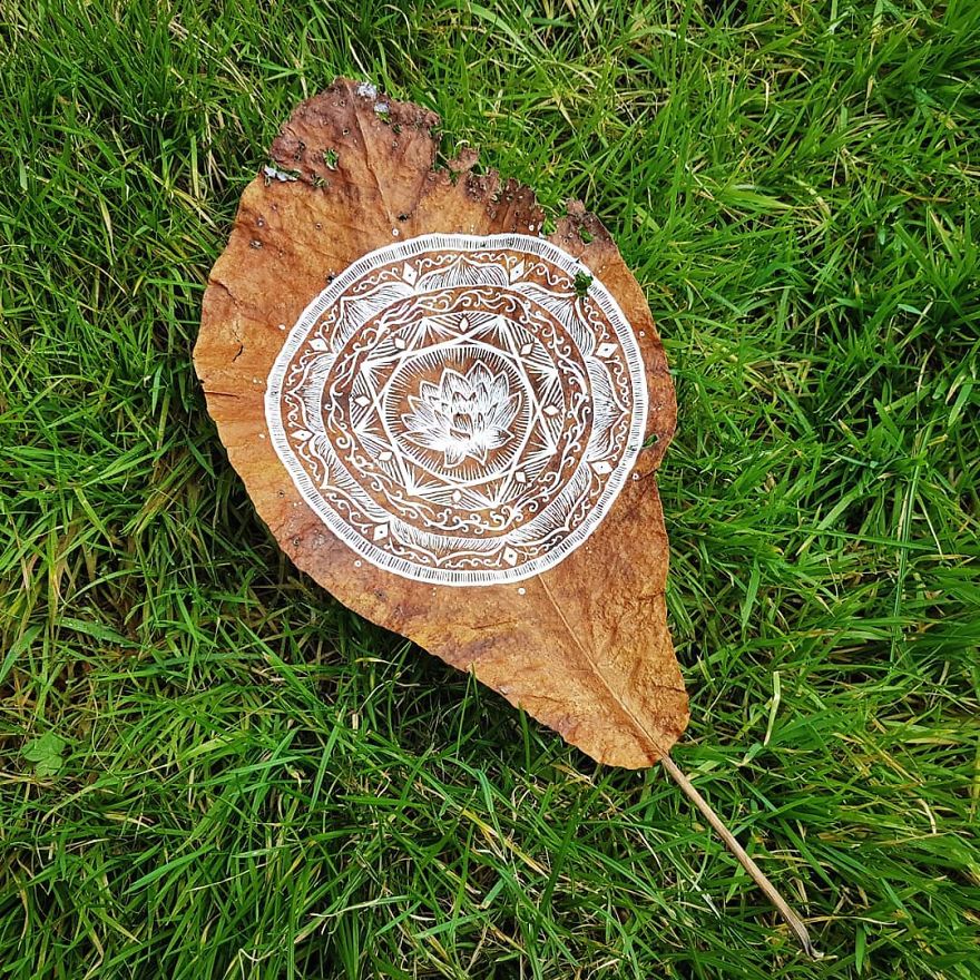 Artist Paints Mandalas Directly Onto Autumn Leaves, Results Are Amazing!