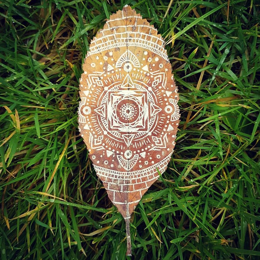 Artist Paints Mandalas Directly Onto Autumn Leaves, Results Are Amazing!