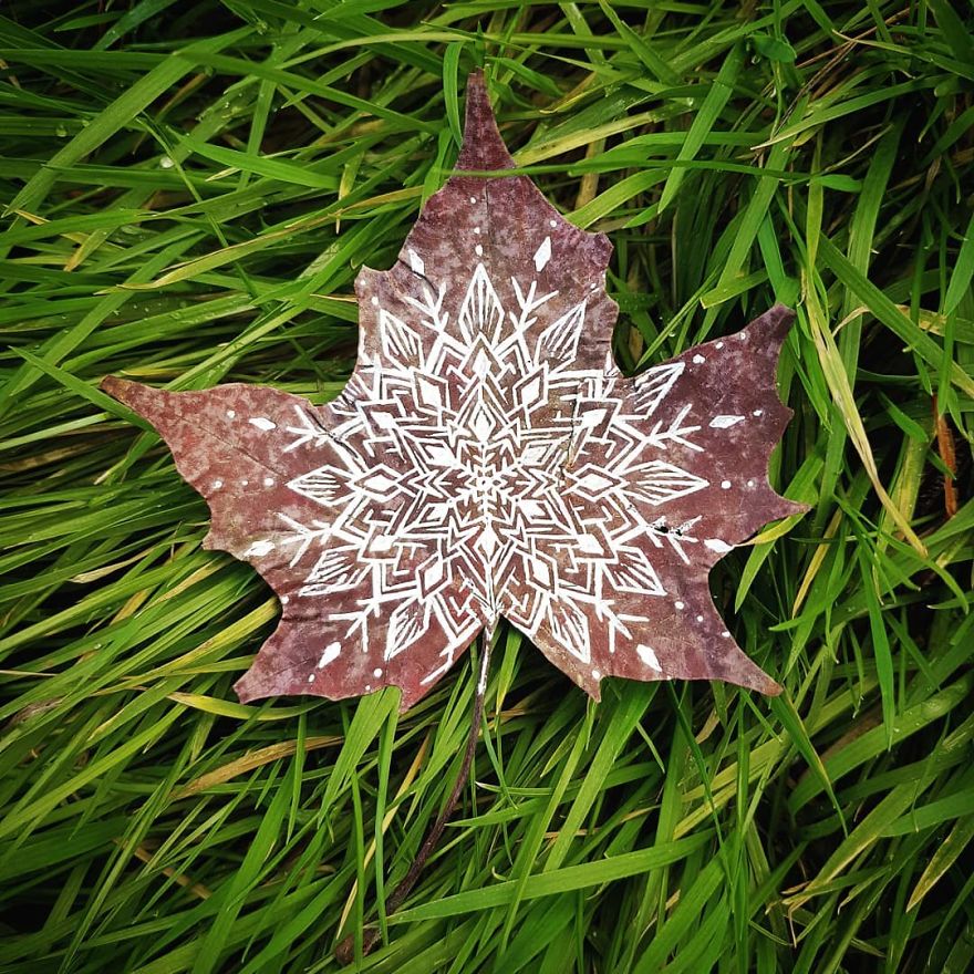 Artist Paints Mandalas Directly Onto Autumn Leaves, Results Are Amazing!