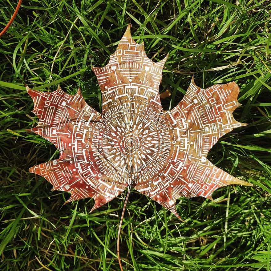 Artist Paints Mandalas Directly Onto Autumn Leaves, Results Are Amazing!