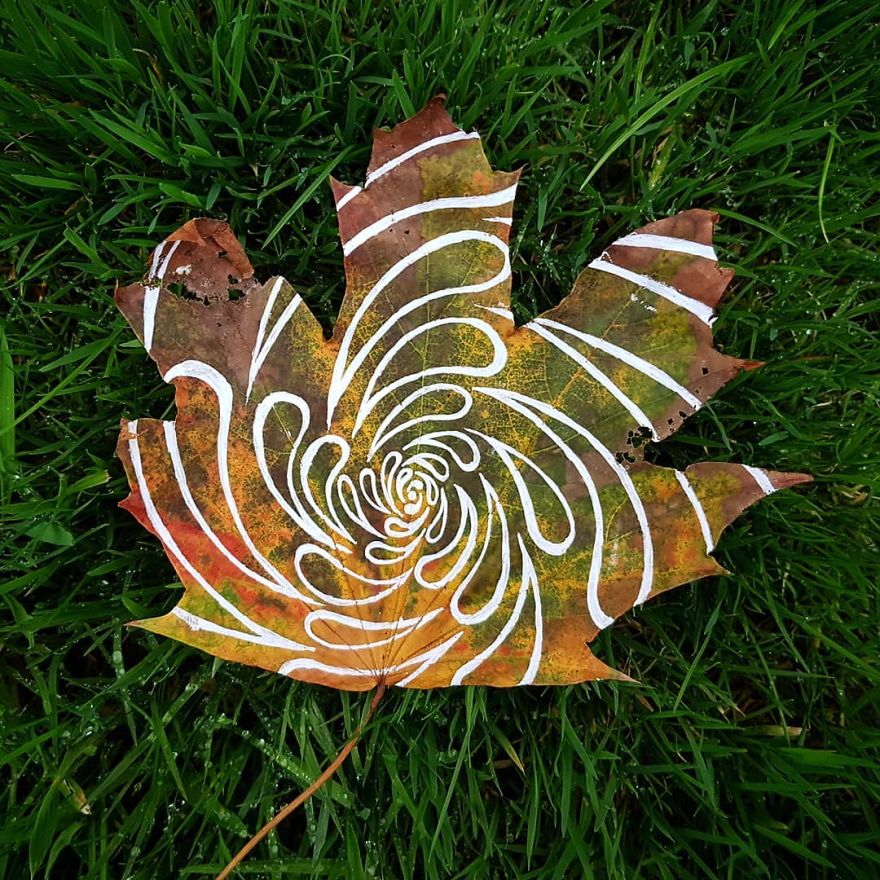 Artist Paints Mandalas Directly Onto Autumn Leaves, Results Are Amazing!