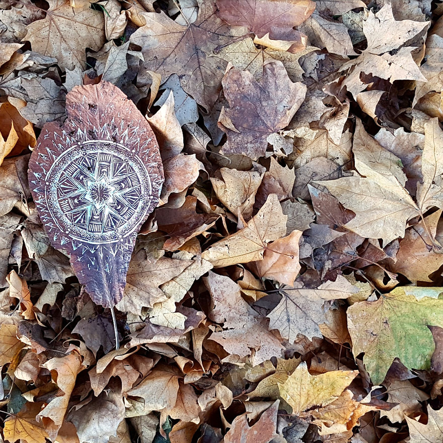Artist Paints Mandalas Directly Onto Autumn Leaves, Results Are Amazing!