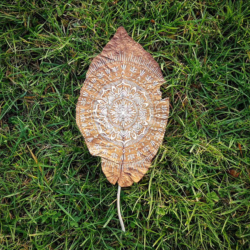 Artist Paints Mandalas Directly Onto Autumn Leaves, Results Are Amazing!