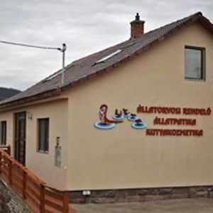 dr_szabo_eszter avatar