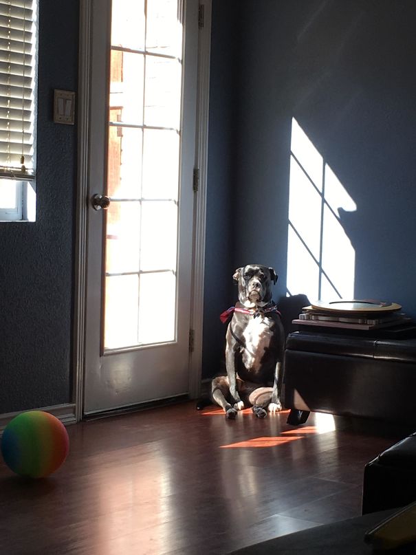 The Way She Sits In The Sunny Corner Of The Room