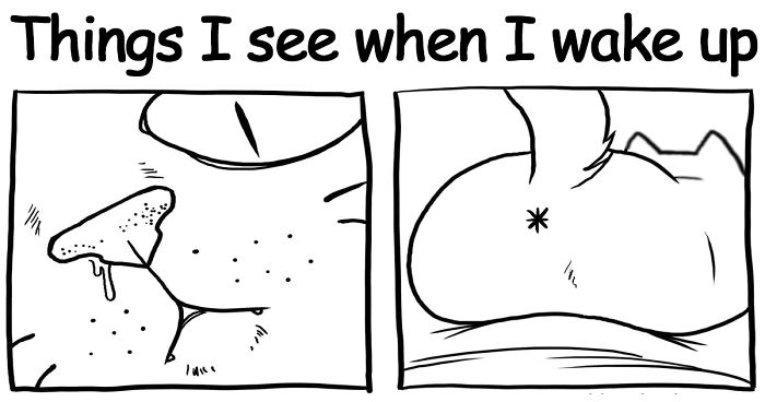 42 Hilarious Comics That Capture My Life With Two Cheeky Cats