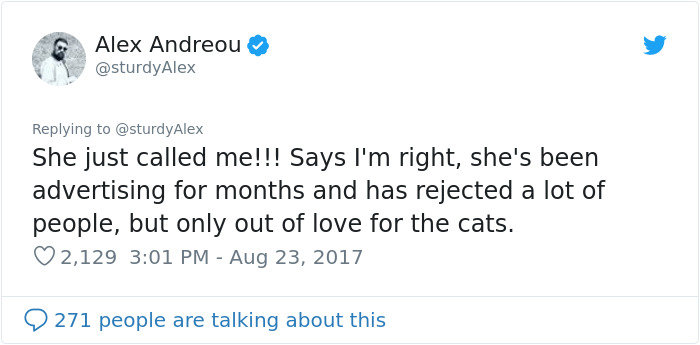 Gay Man Gets Turned Down From Adopting A Rescue Cat, So He Shares The Texts Online