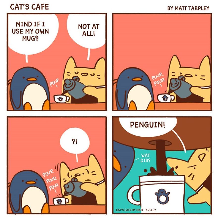 A (Cat's) Café For Everyone