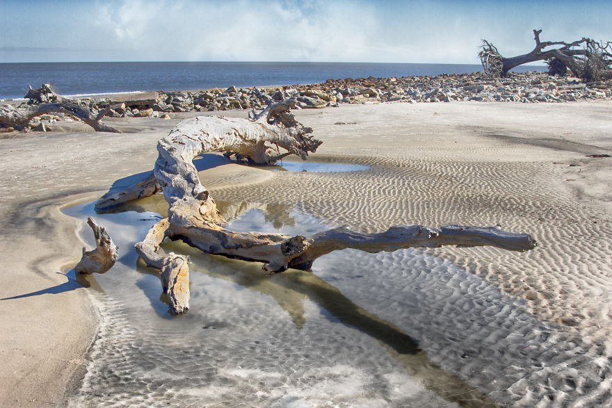 My Wife And I Spent Sometime Photographing The Otherworldly And Breathtaking Views Of Driftwood Beach