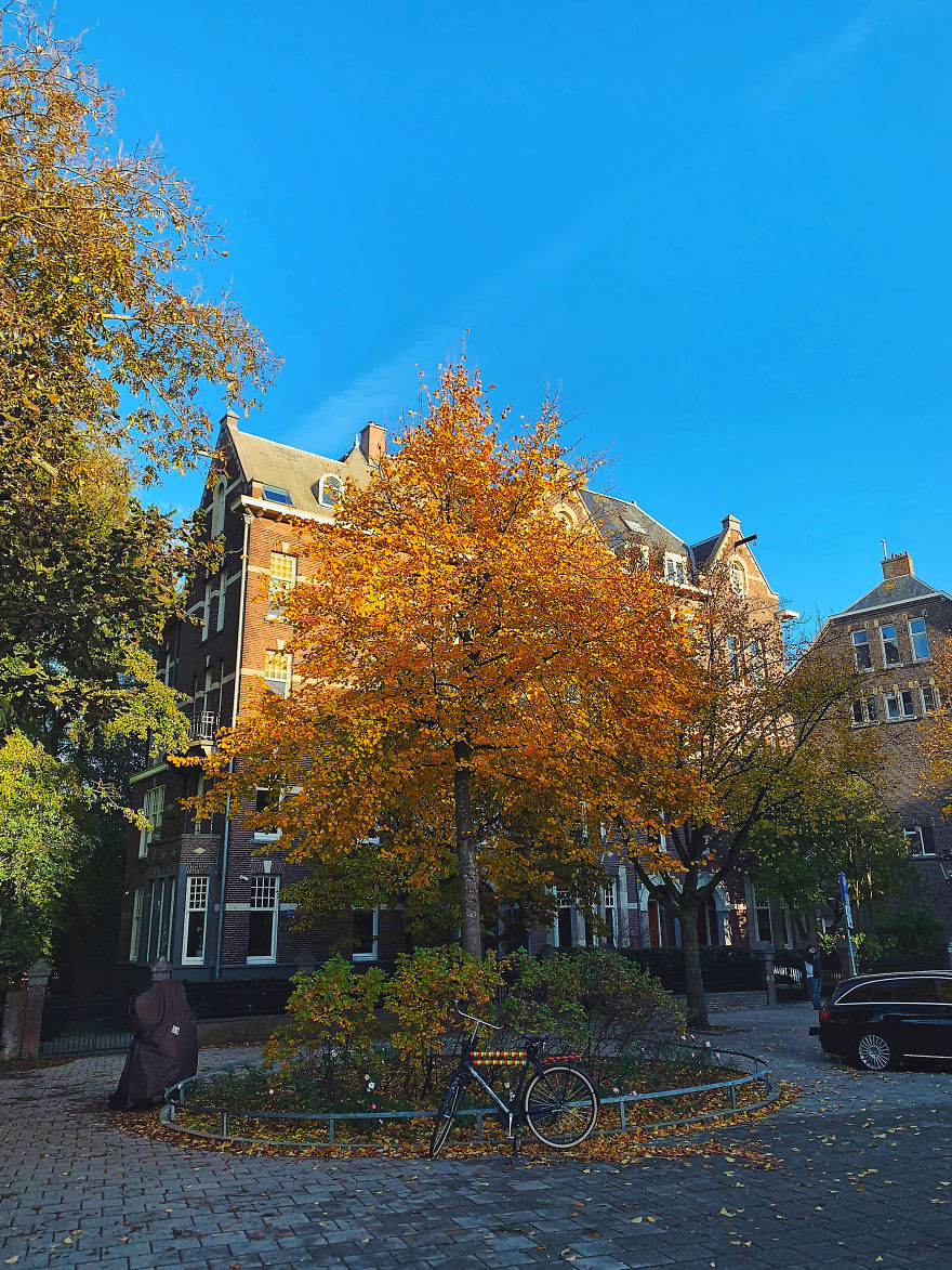 I Captured Autumn In Amsterdam