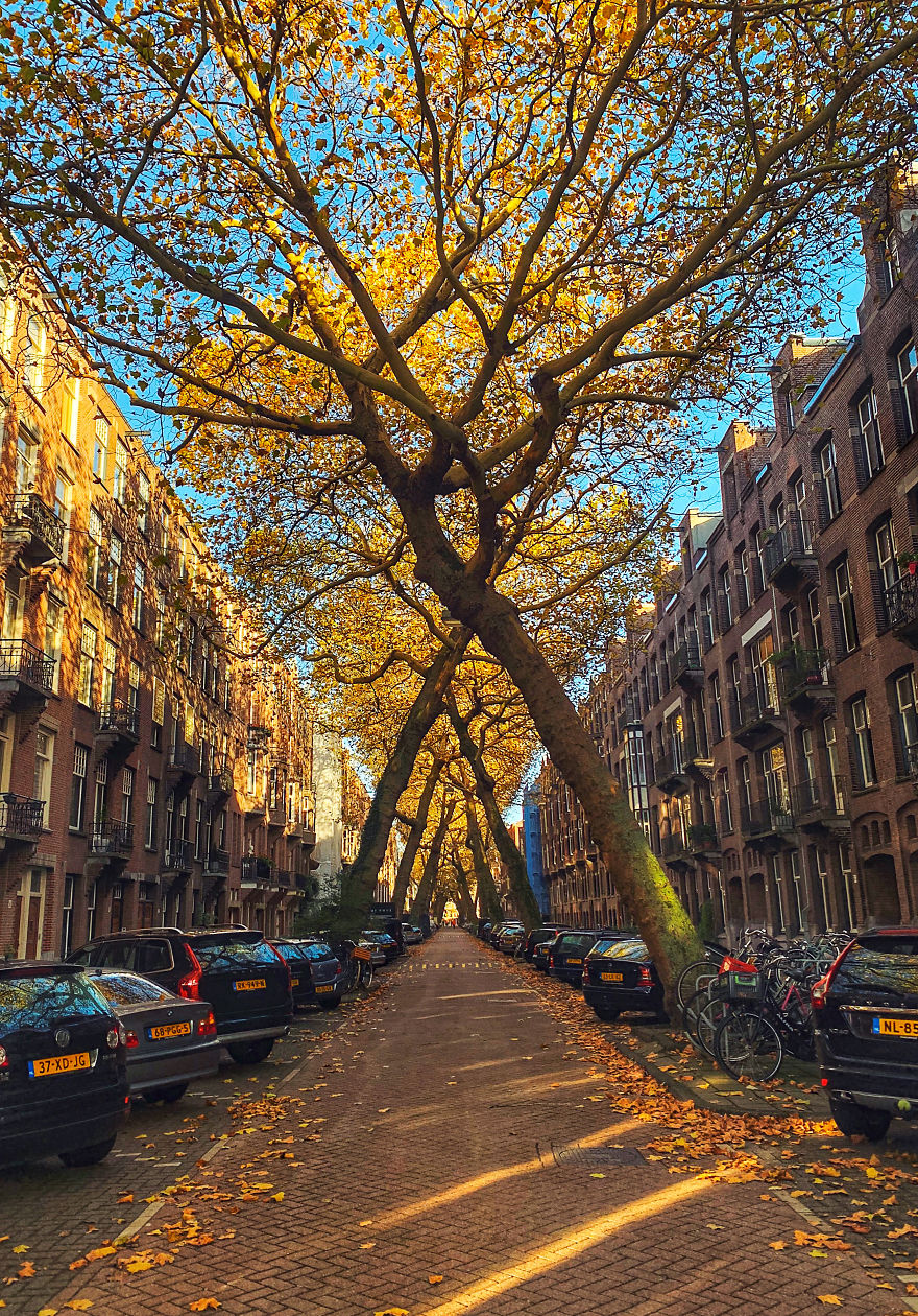 I Captured Autumn In Amsterdam