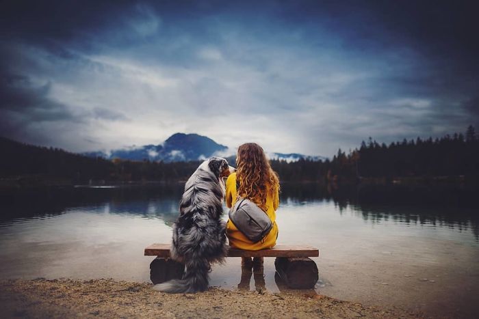 50 Of The Best Dog Photos I've Ever Taken