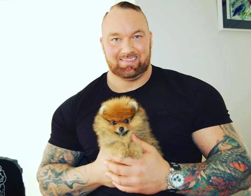 Everyone Has His Dire Wolf: 11 Actors From &ldquo;Game Of Thrones&rdquo; And Their Dogs