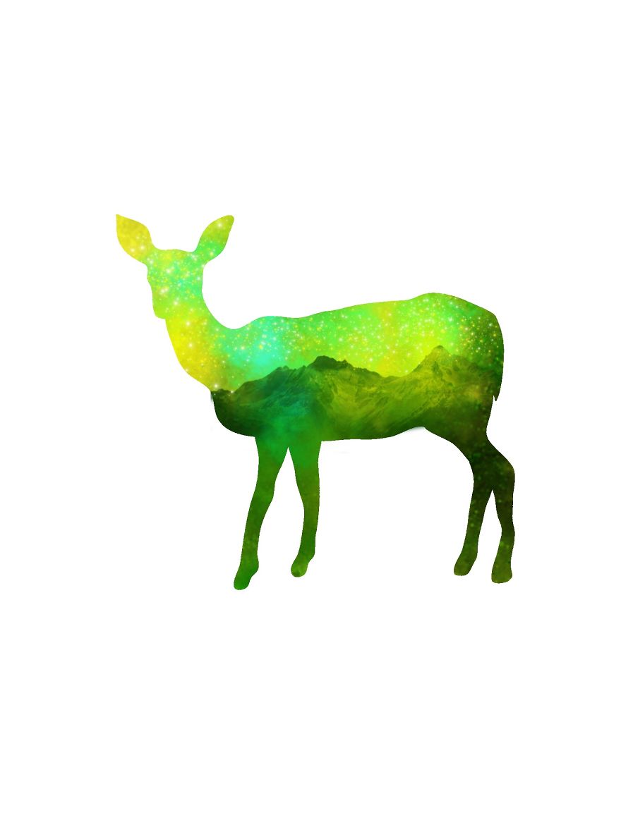Artist Creates Enchanting Double Exposure Animals