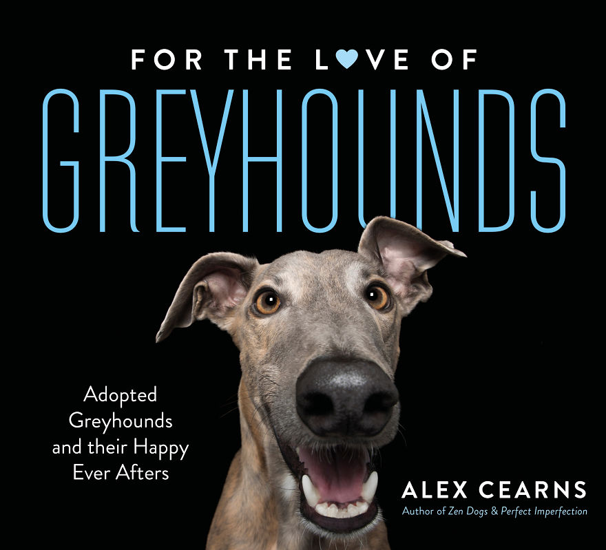'for The Love Of Greyhounds - Adopted Greyhounds And Their Happy Ever Afters'