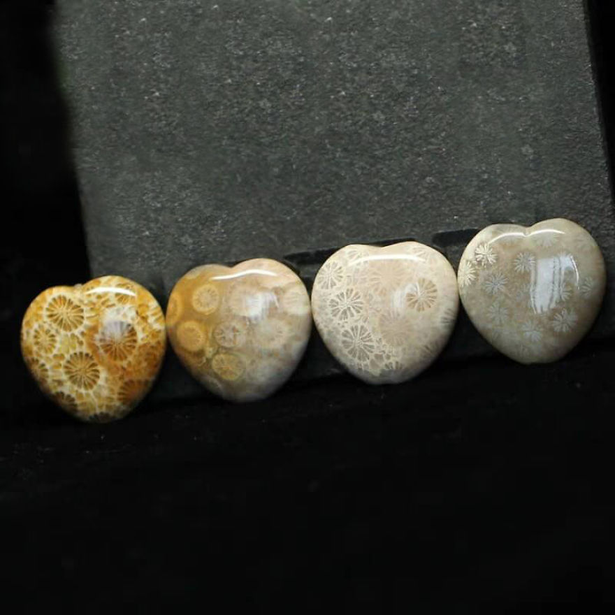 Fossil Coral Jewelry|fossil Coral Pendant Fossil Coral Jewelry|fossil Coral Pendant