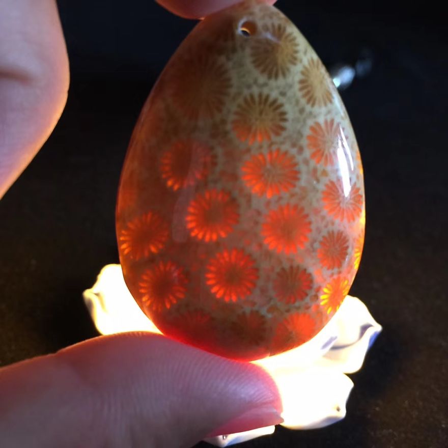 Fossil Coral Jewelry|fossil Coral Pendant Fossil Coral Jewelry|fossil Coral Pendant