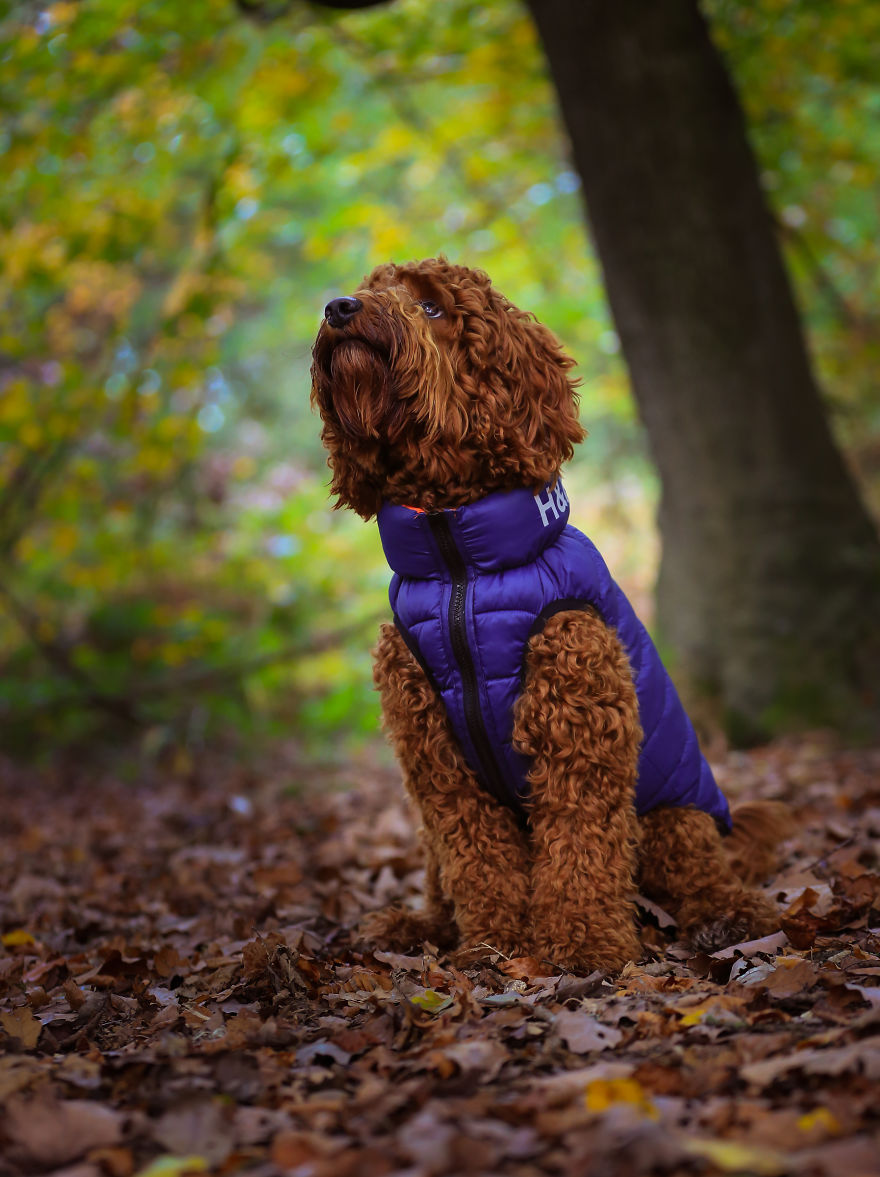 Stanley's First Fashion Shoot! Stanley's First Fashion Shoot!