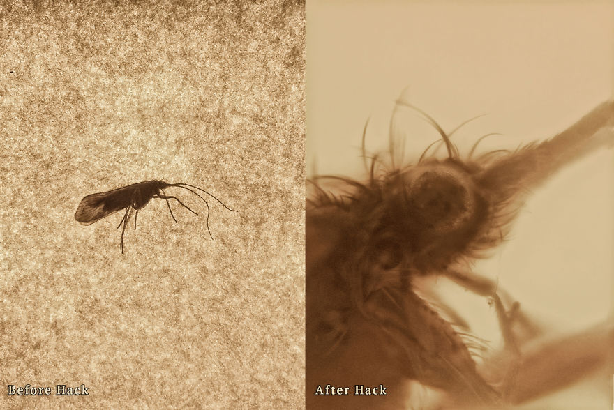 I Hacked My Old Iphone Camera To Shoot Super Macro