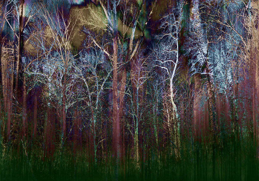 I Turned My Photography Into Walking Art I Turned My Photography Into Walking Art