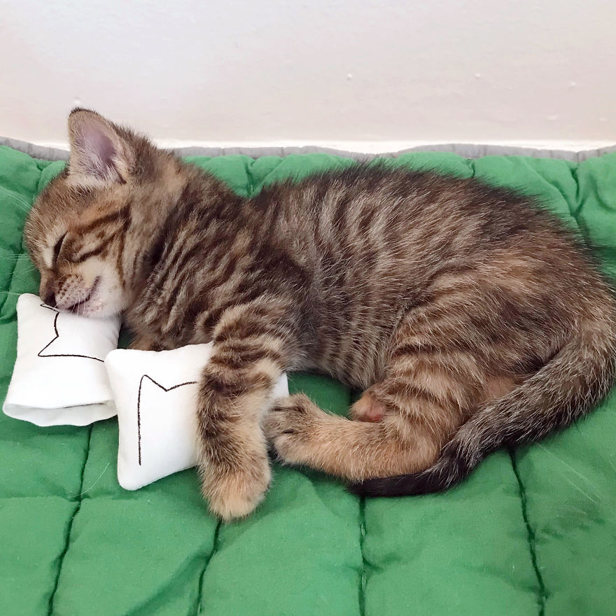 I Created Miniature Kitten Size Versions Of My Cat Nap Pillowcases, With Their Own Tiny Inserts.