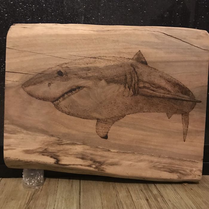 I Spend Hours Creating Unique Art By Burning Wood