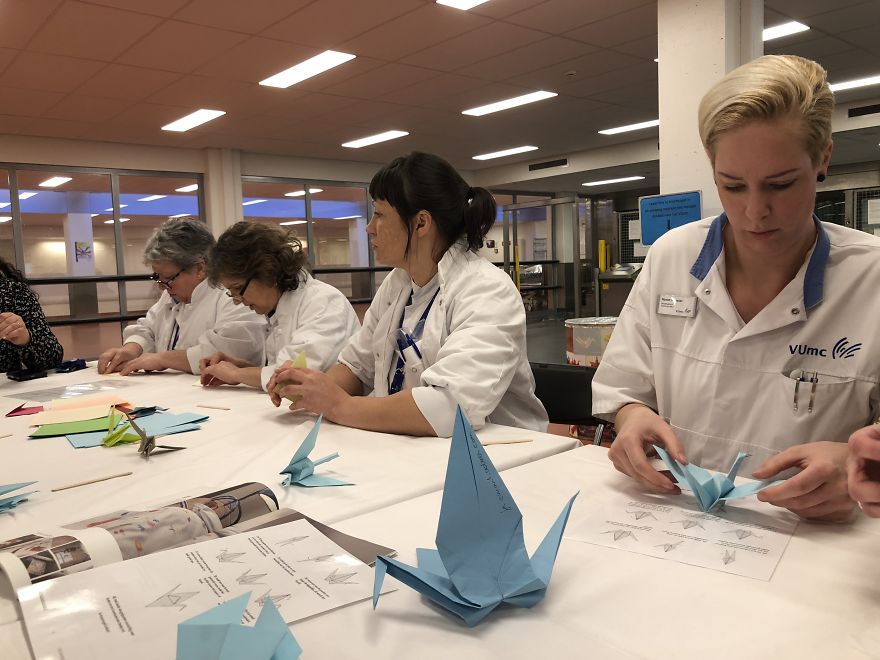 This Amsterdam Hospital Staff Folded 1.000 Paper Cranes To Help Patients Sleep