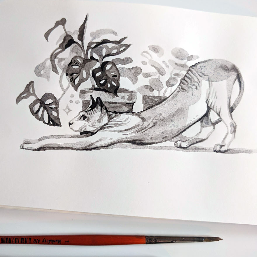 Pen And Ink Drawings For David Attenborough