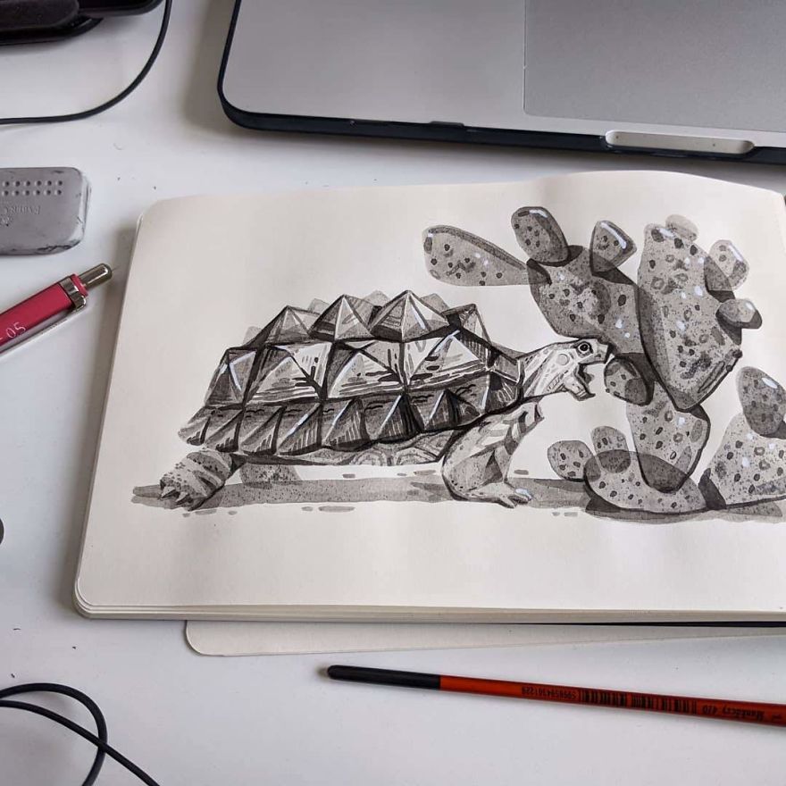 Pen And Ink Drawings For David Attenborough