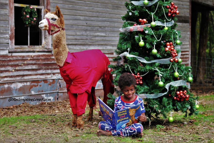 Now You Can Meet And Take Pictures With The Real Llama Llama Red Pajama!!!