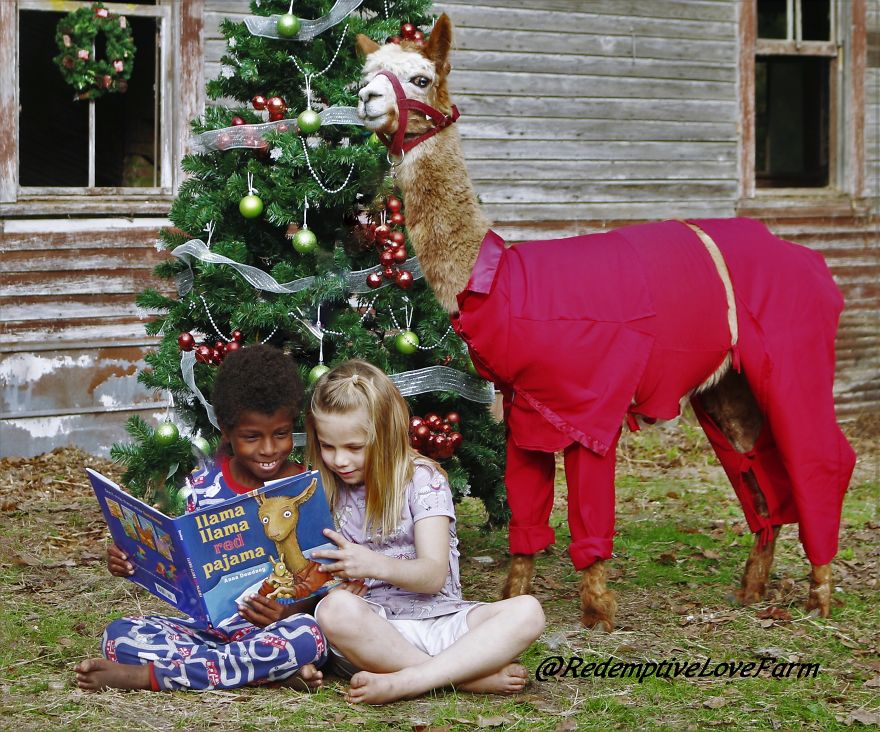Now You Can Meet And Take Pictures With The Real Llama Llama Red Pajama!!!