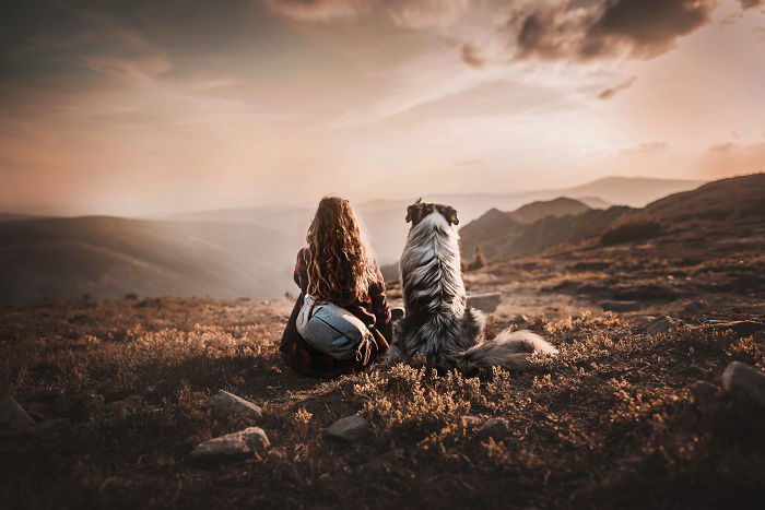 50 Of The Best Dog Photos I've Ever Taken