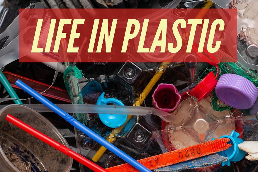 Life In Plastic