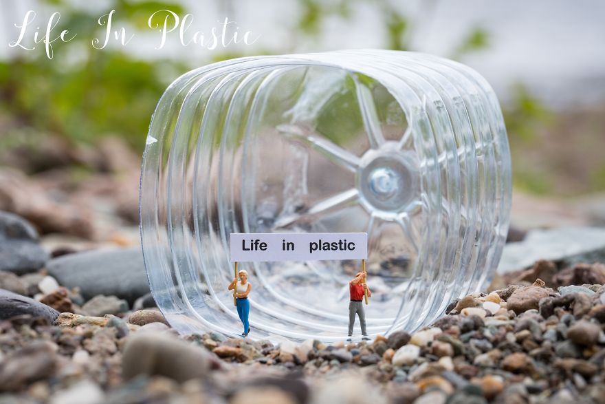 Life In Plastic