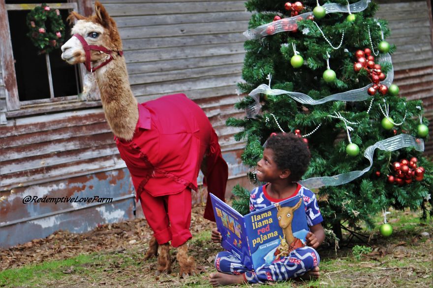 Now You Can Meet And Take Pictures With The Real Llama Llama Red Pajama!!!