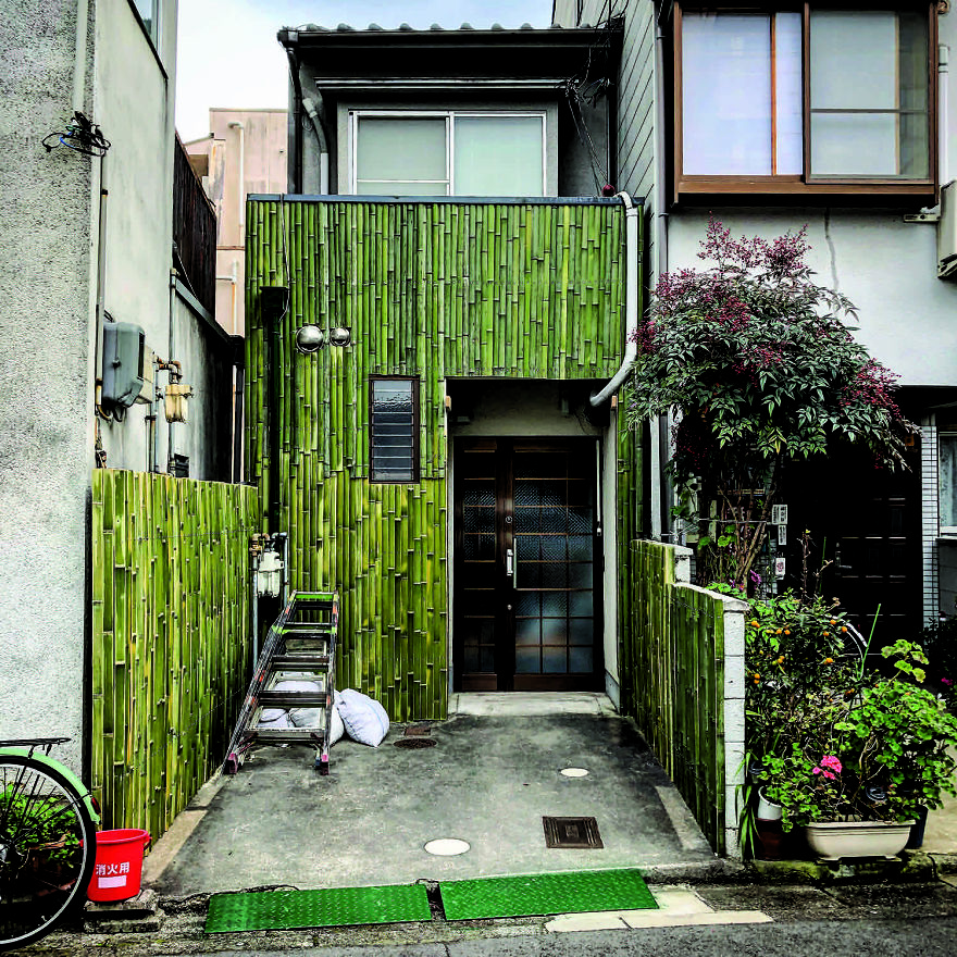 House With Bamboo Frontage: Still Freshly Green