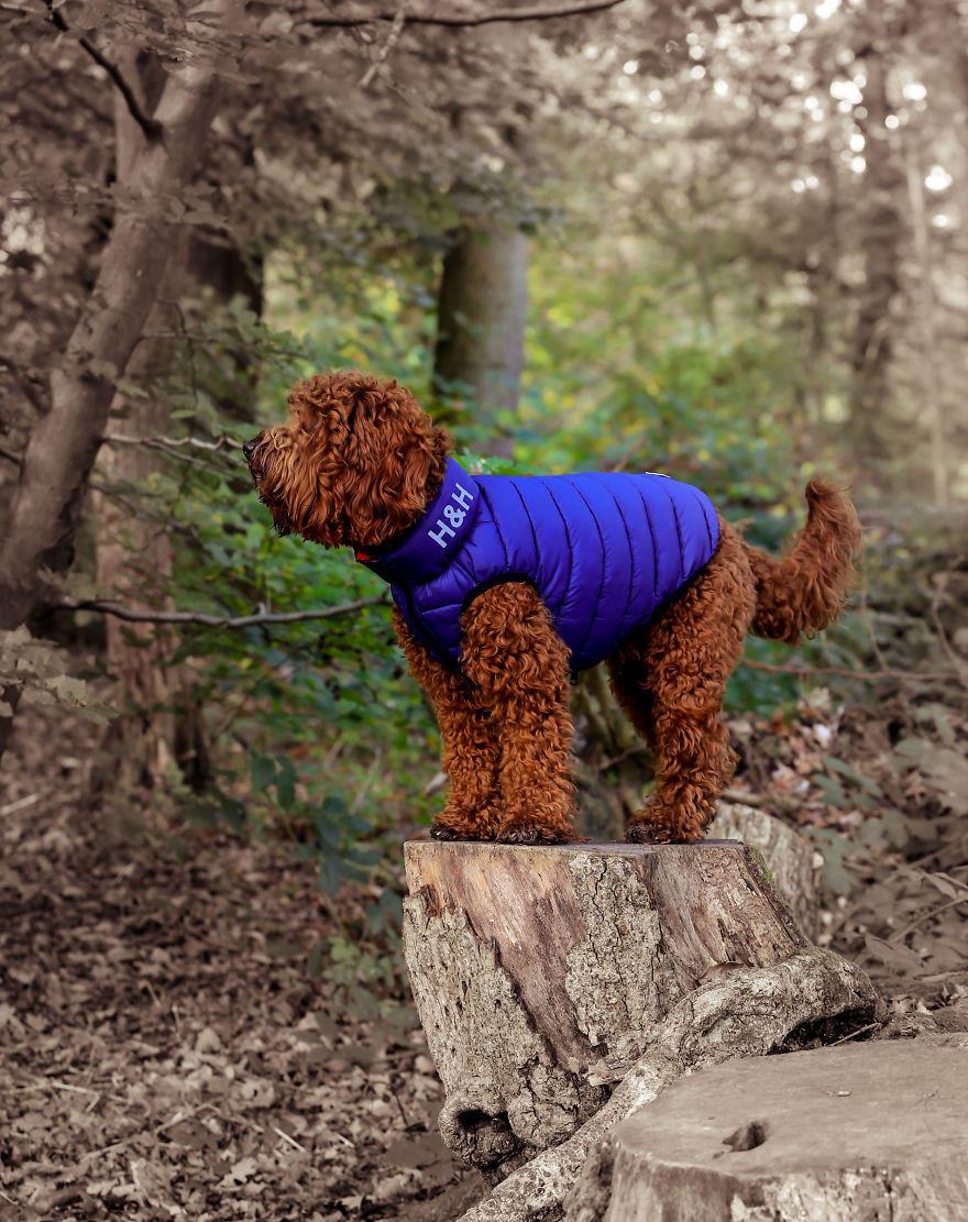 Stanley's First Fashion Shoot! Stanley's First Fashion Shoot!