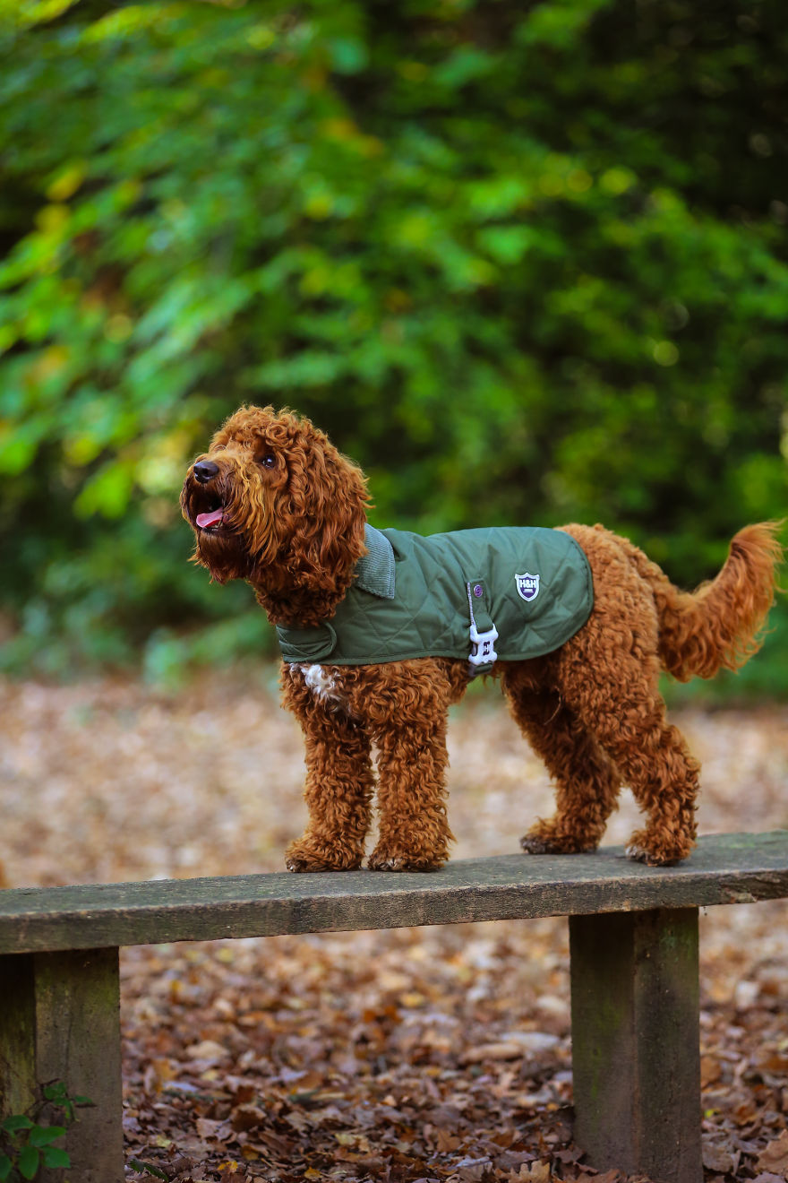 Stanley's First Fashion Shoot! Stanley's First Fashion Shoot!