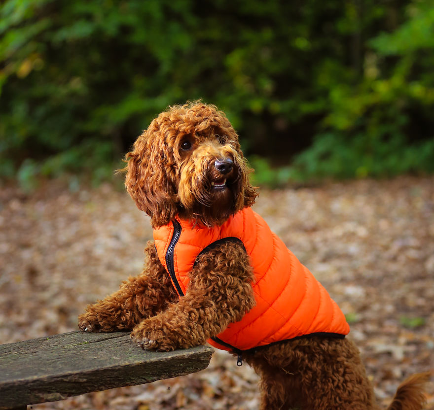 Stanley's First Fashion Shoot! Stanley's First Fashion Shoot!