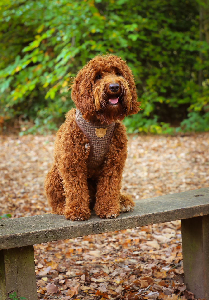 Stanley's First Fashion Shoot! Stanley's First Fashion Shoot!