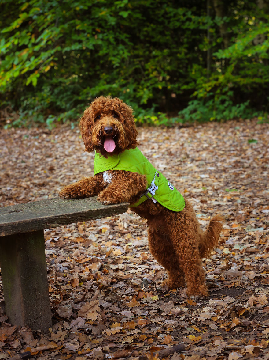 Stanley's First Fashion Shoot! Stanley's First Fashion Shoot!