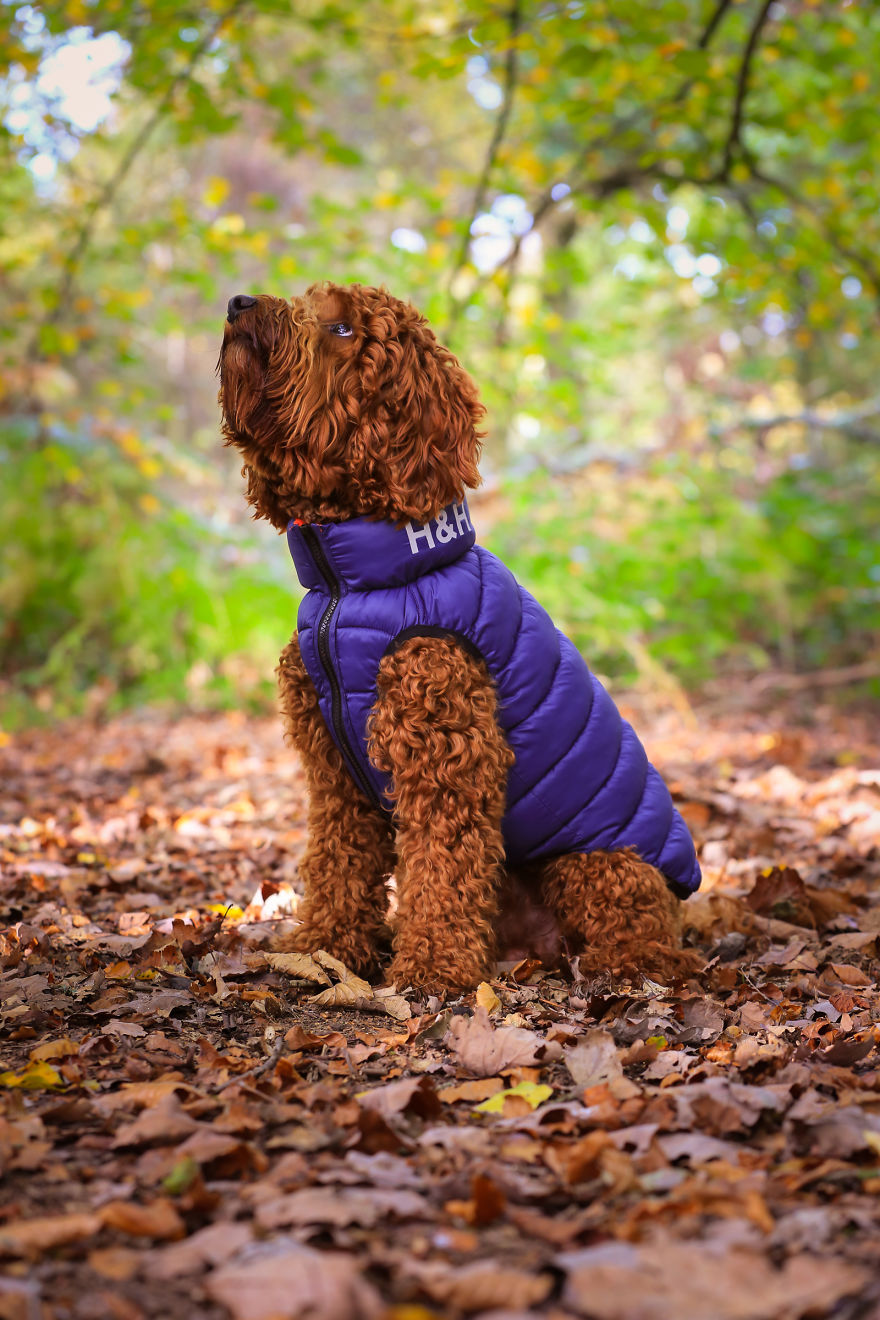 Stanley's First Fashion Shoot! Stanley's First Fashion Shoot!