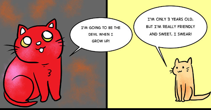 This Comic About 'Unadoptable' Cats Is Amazing